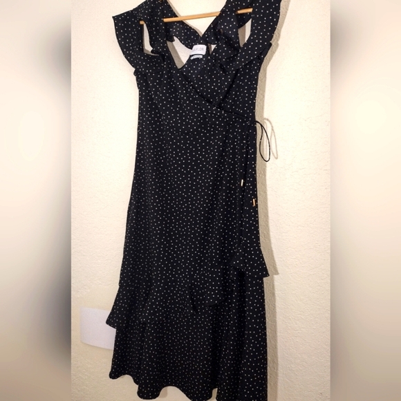 Saylor Rosalind Polkadot Midi Dress - Picture 6 of 11